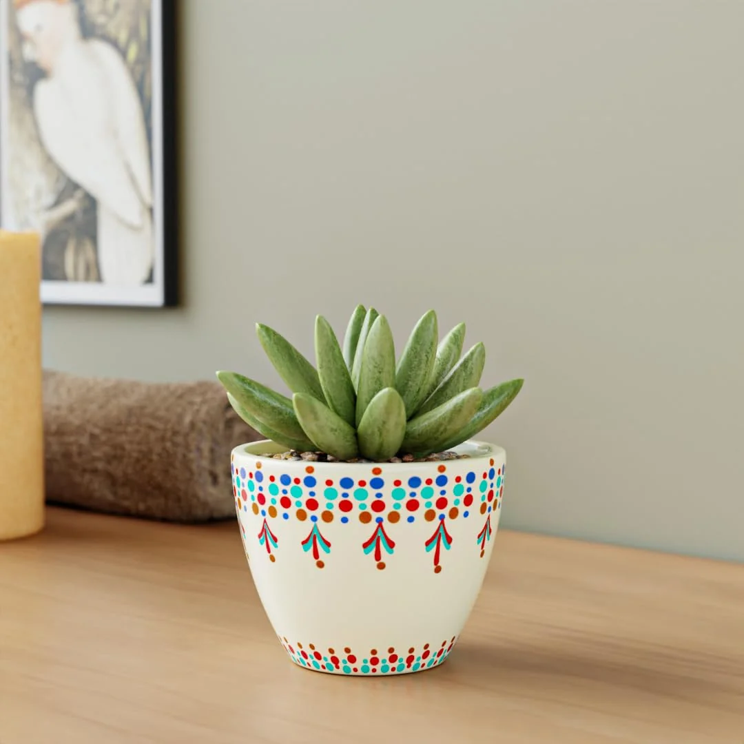 Clay Diyas