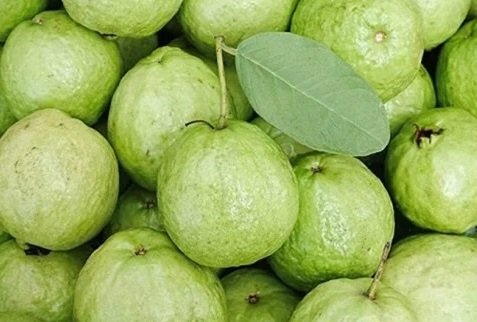 Fresh Guava