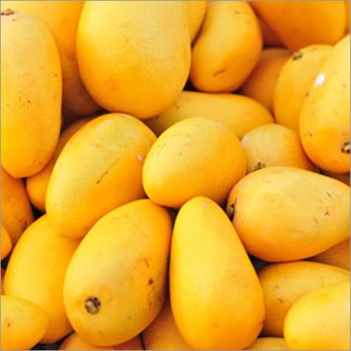 Fresh Mango