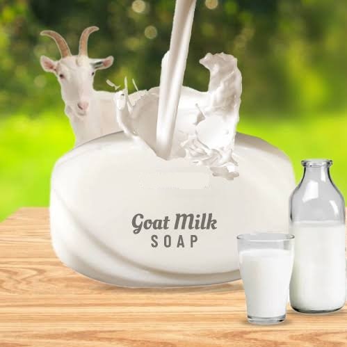 Goat Milk Soap