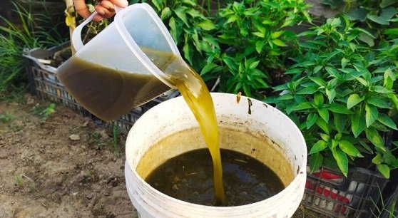 Liquid Fertilizer