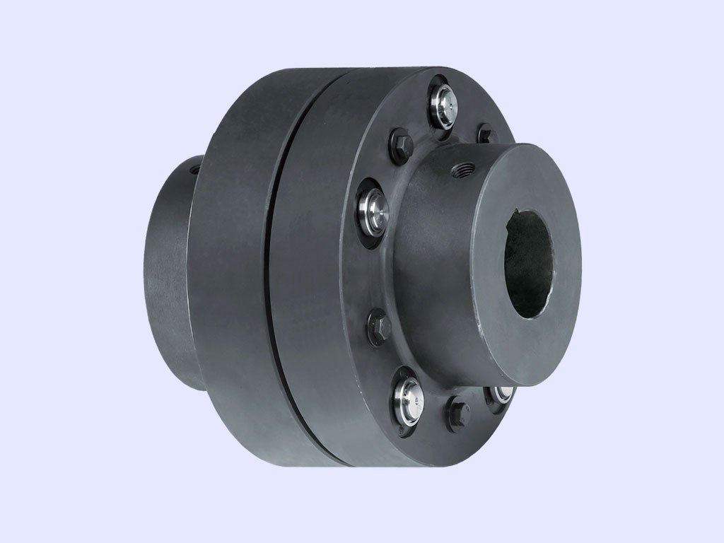 MS FLANGE COUPLING