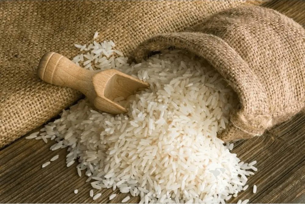 Non-Basmati Rice