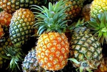 Pineapple