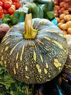 Pumpkin
