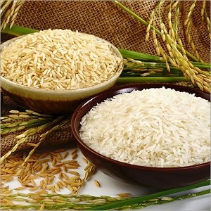 Sona Masoori Rice