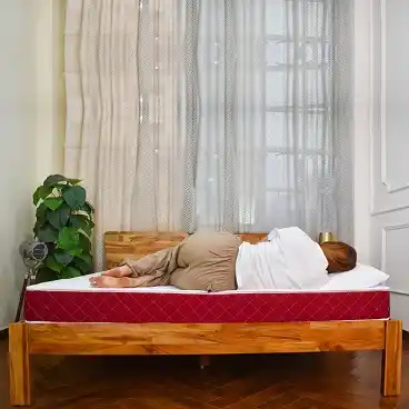 Coir Mattress