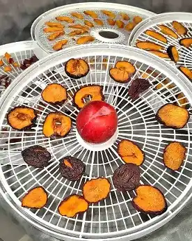 Dehydrated Plum