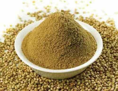Coriander