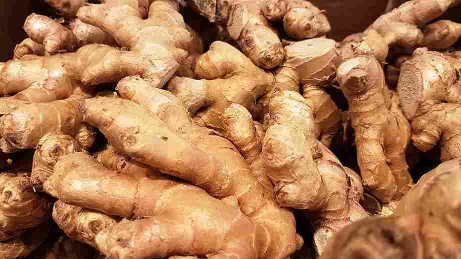 Ginger