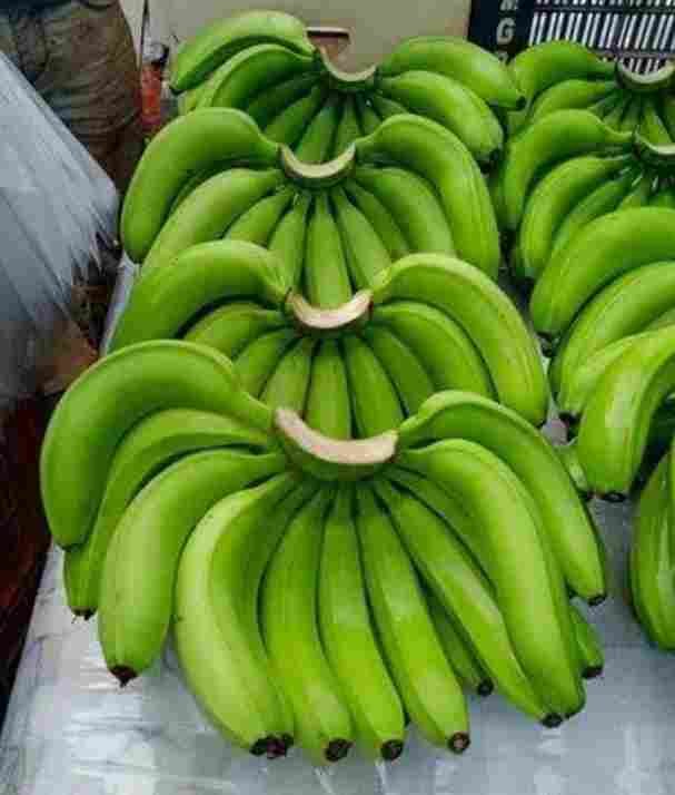 CAVANDISH BANANA