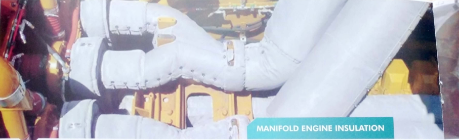 Manifold engine insulation