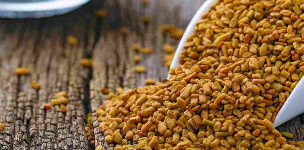 Fenugreek seeds