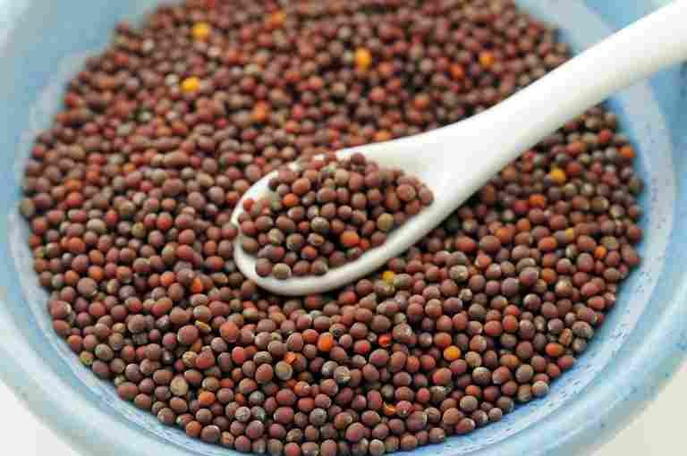 Brown mustard