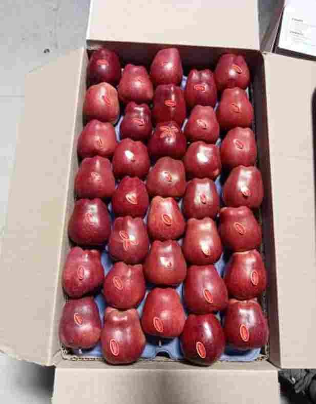 Apple