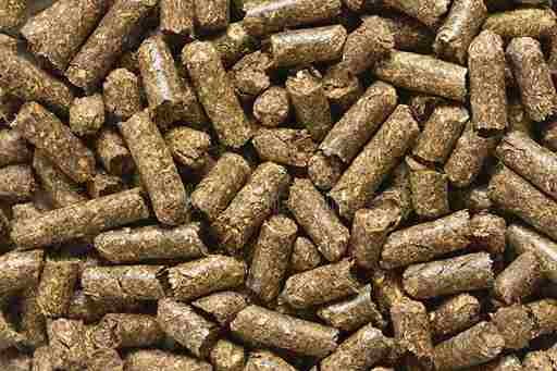 Animal feed