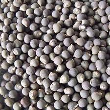 Okra Seeds