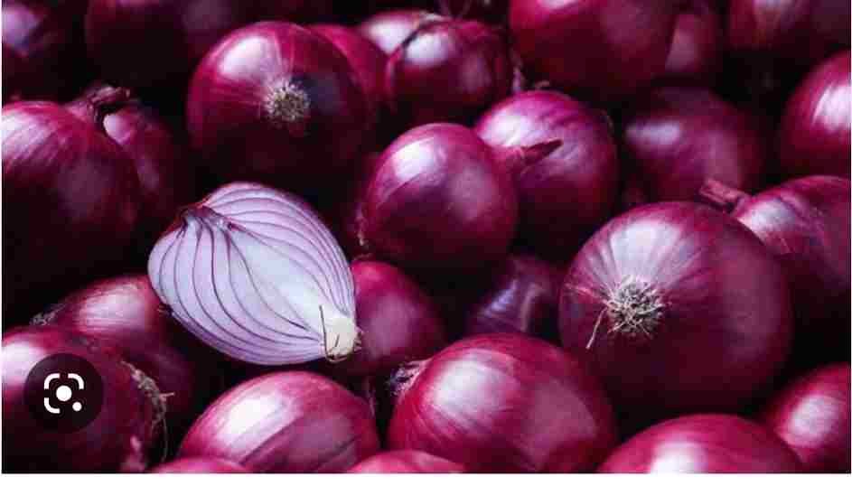 Onion