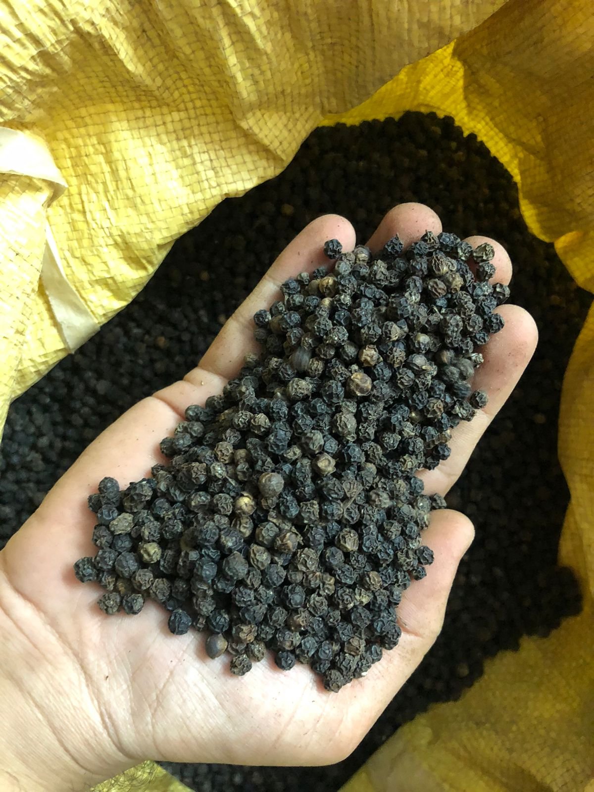 Black Pepper