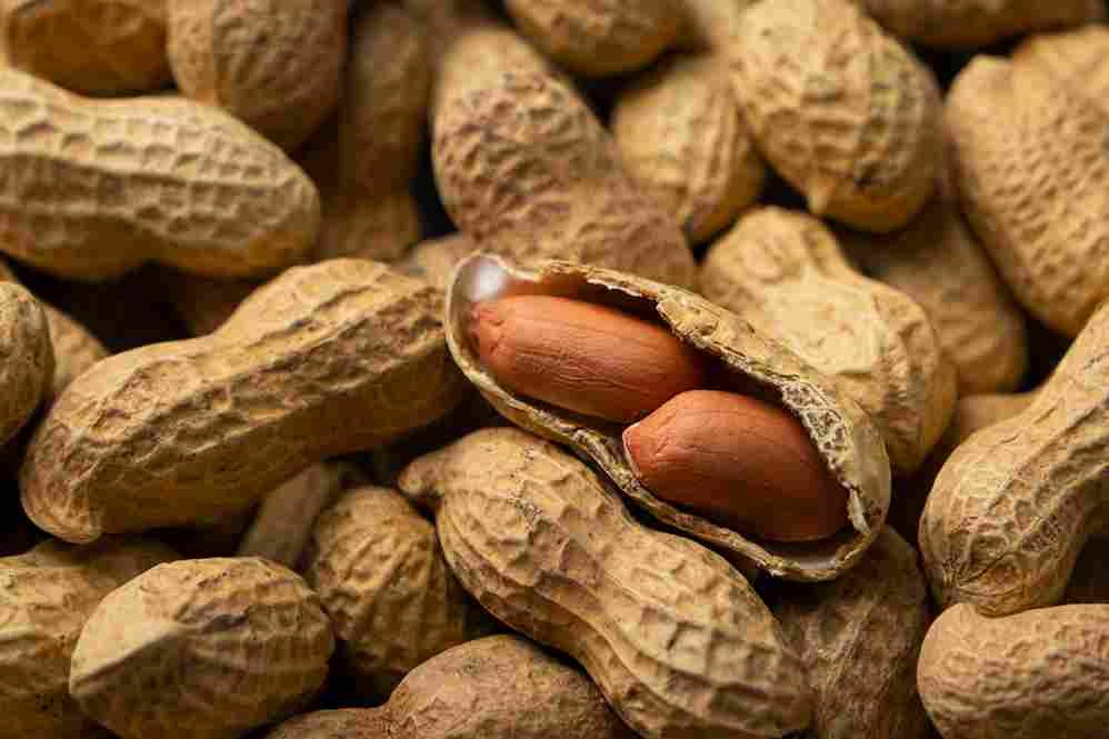 Peanut with Shell