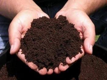 Fertilizer