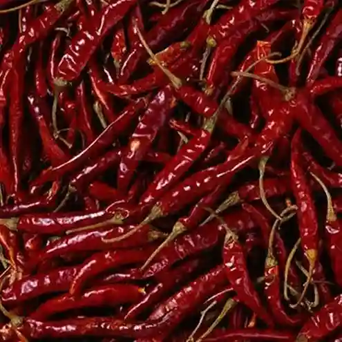 Dry Red Chilli