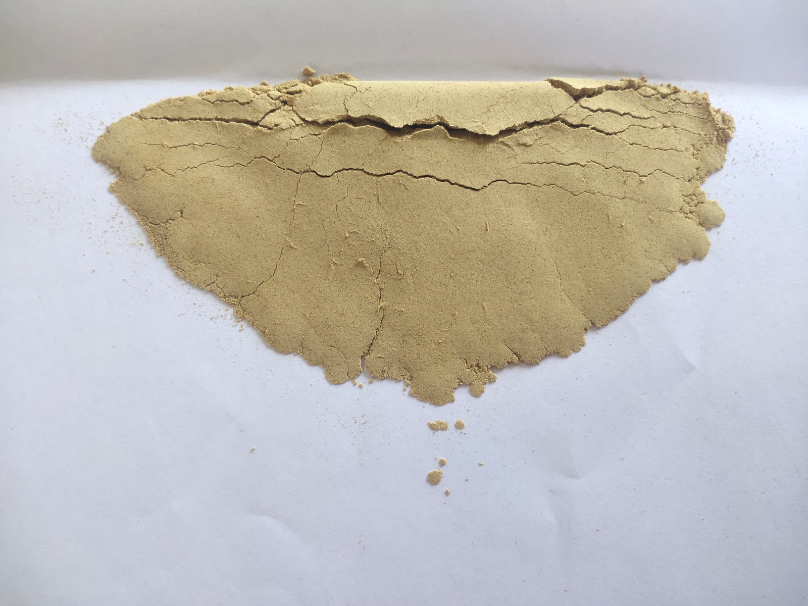 DRIED GINGER POWDER