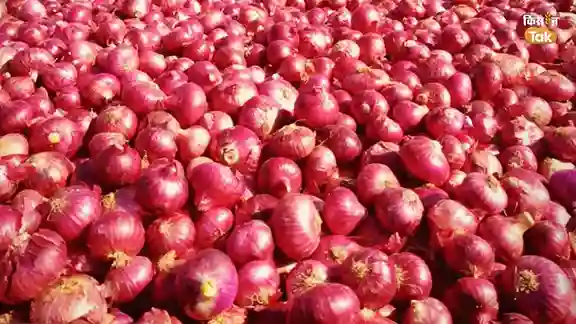 Fresh Onion