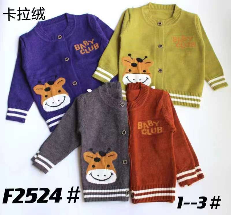 Baby Sweater