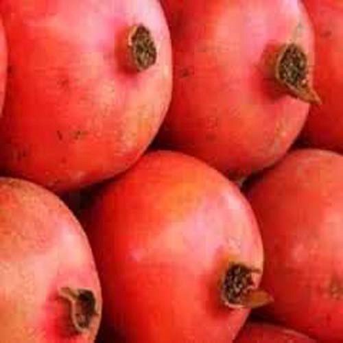 POMGRANATE