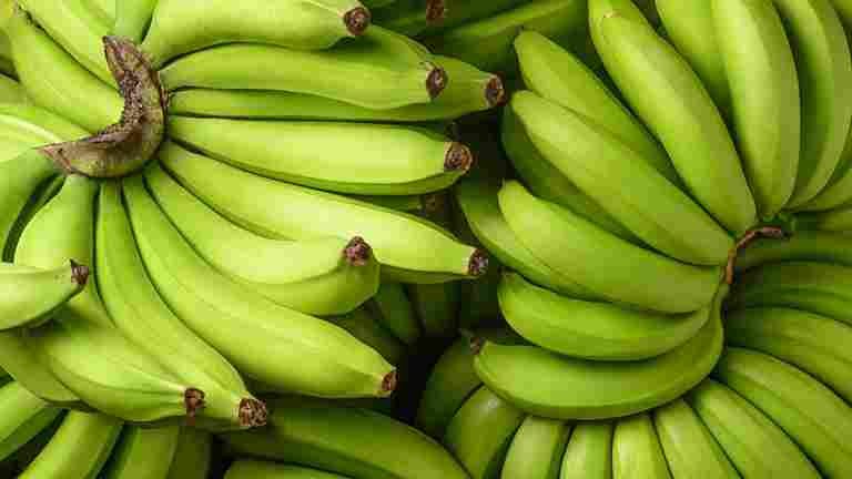GREEN BANANA