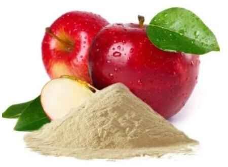 Dehydrated Apple Powder