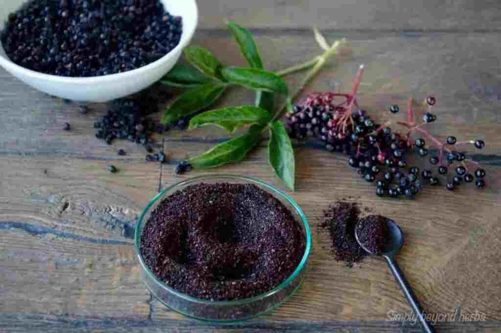 Elderberry Powder