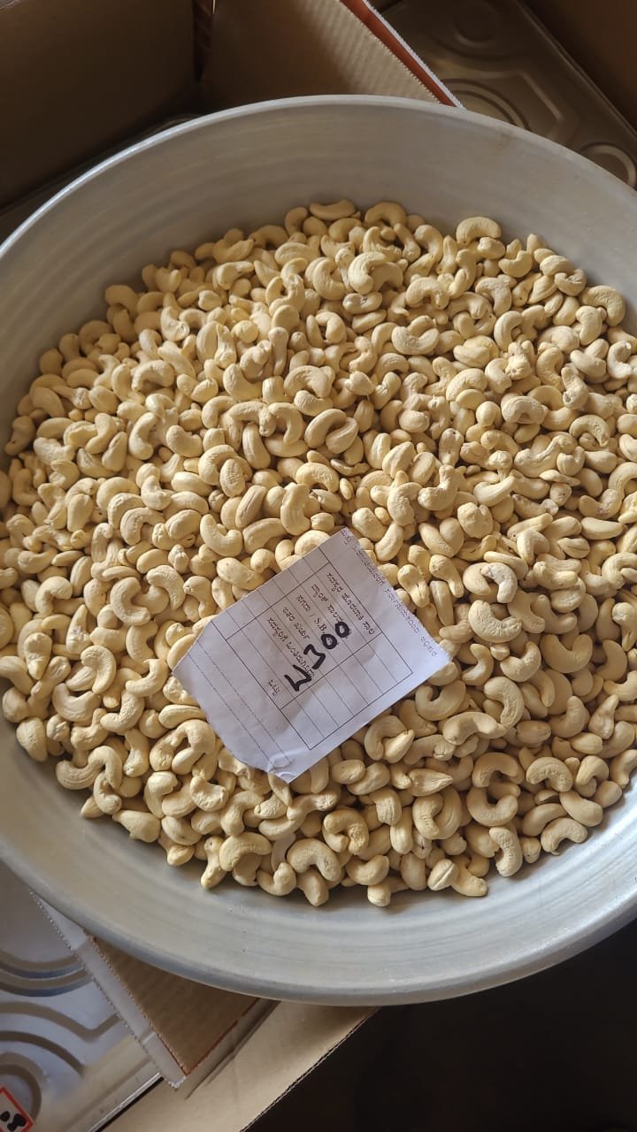 Cashew Nut W