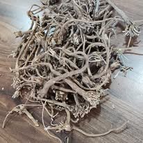 Akarkara Root