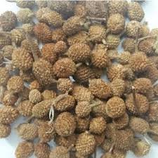Akarkara Seed