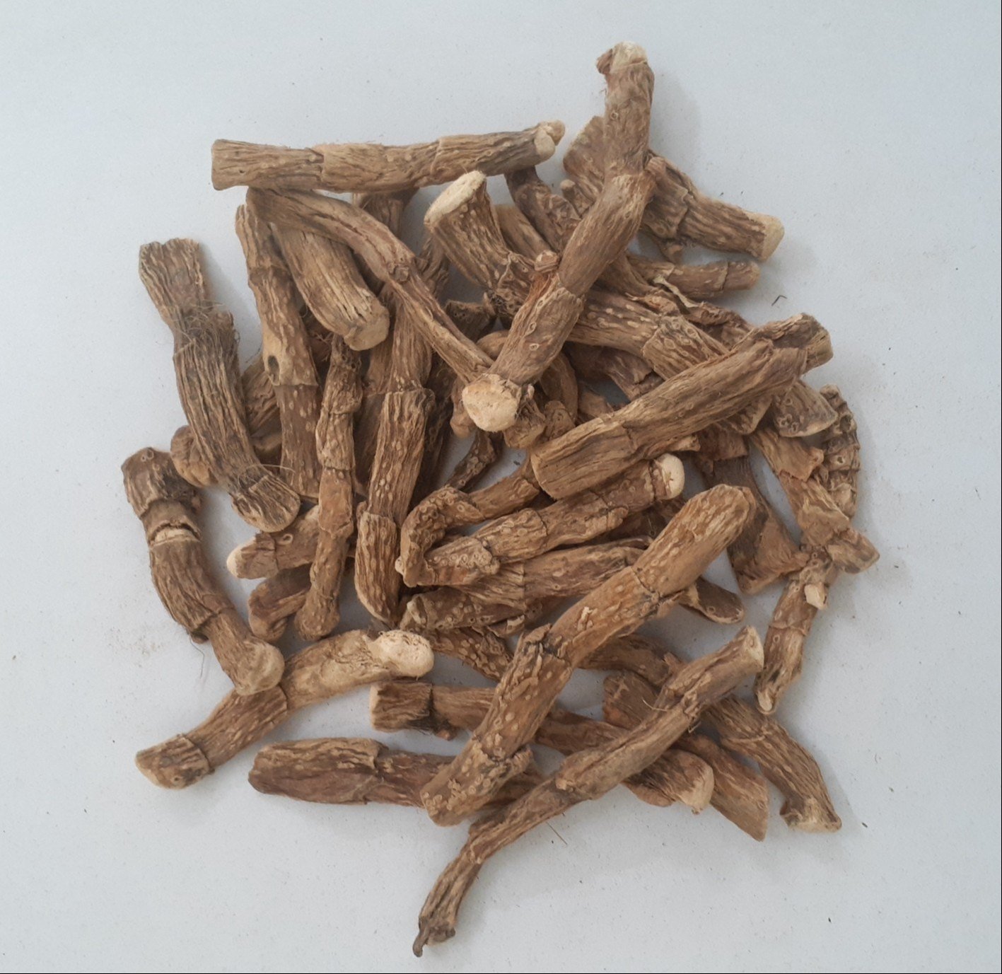 Vacha Root