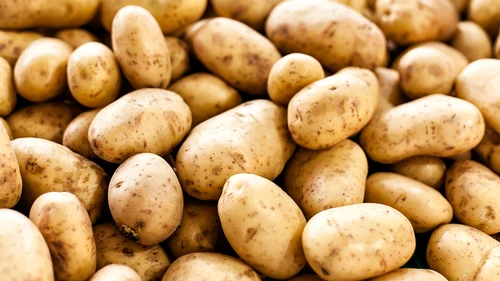 Fresh Potato