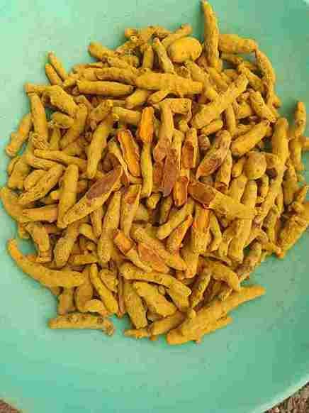 Dry Turmeric Finger