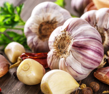 Fresh Garlic