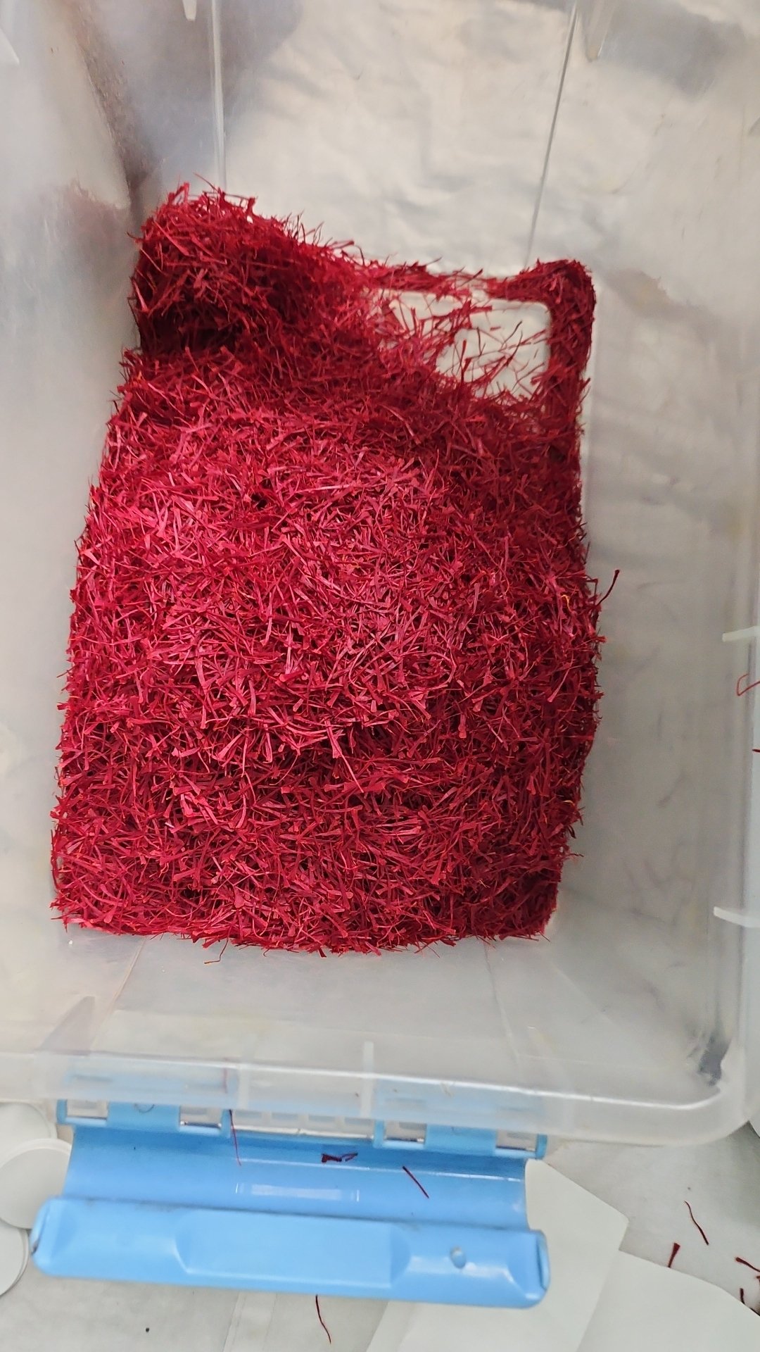 KASHMIRE SAFFRON 