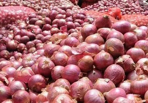 Fresh Onion