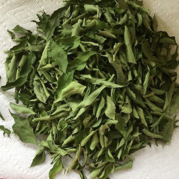 Curry leaves