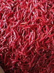 Dry Red Chilli