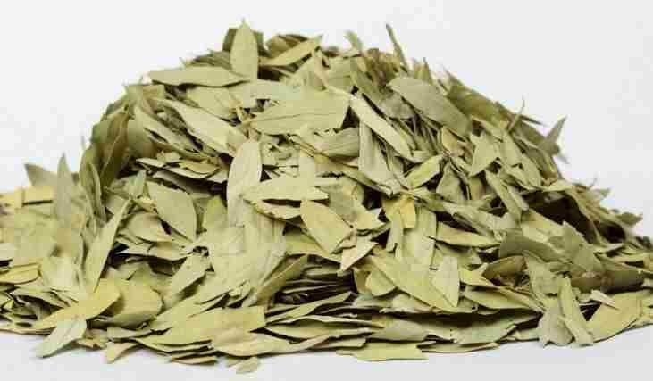 Dried Senna Leaves