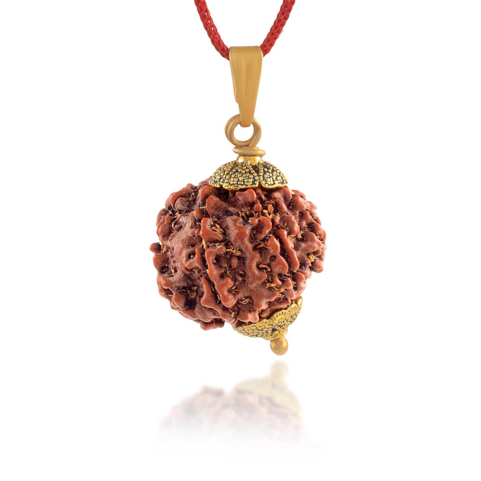 7 Mukhi Nepali Rudraksha
