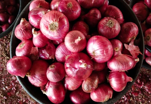 Fresh Onion