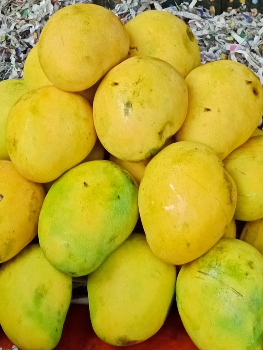 Fresh Mango