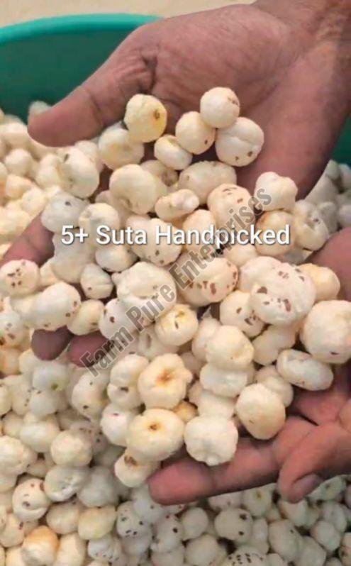 5 Plus Suta Makhana