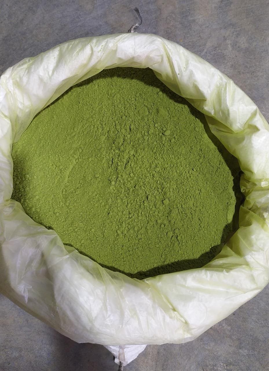 moringa leaf powder